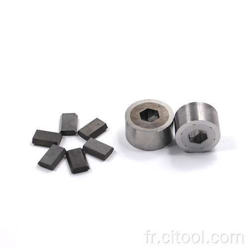 Tungsten en carbure segmenté Hex Die et H13 Case